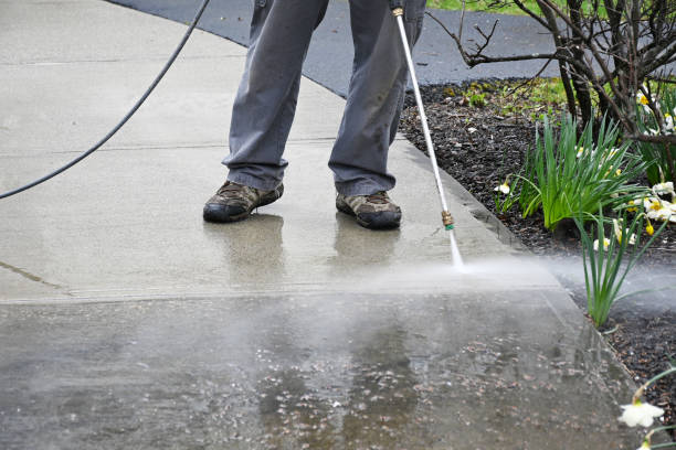 Pressure washing, Power washing, Exterior maintenance