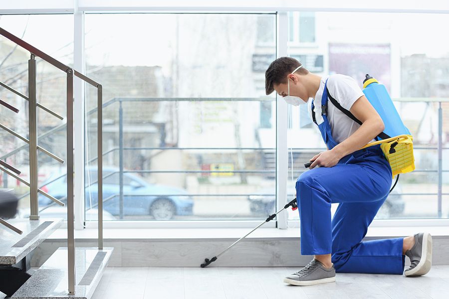commercial pest control in NE Philadelphia