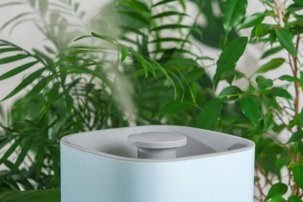 The ultrasonic humidifier releases cold steam. Care and hydration of plants in dry air. Humidifier in the bedroom for cough and dryness.